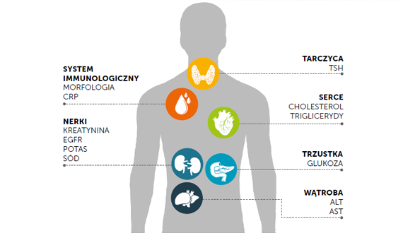 Tw&oacute;j raport zdrowia