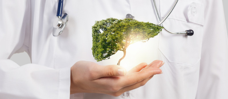 lekarz od wątroby warszawa