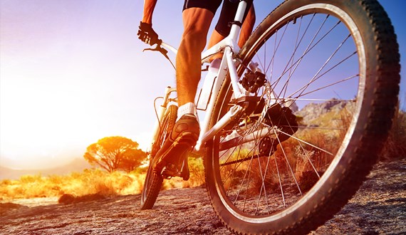 Rehabilitation for the Active