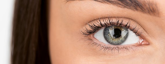 konsultacje siatkówki Warszawa