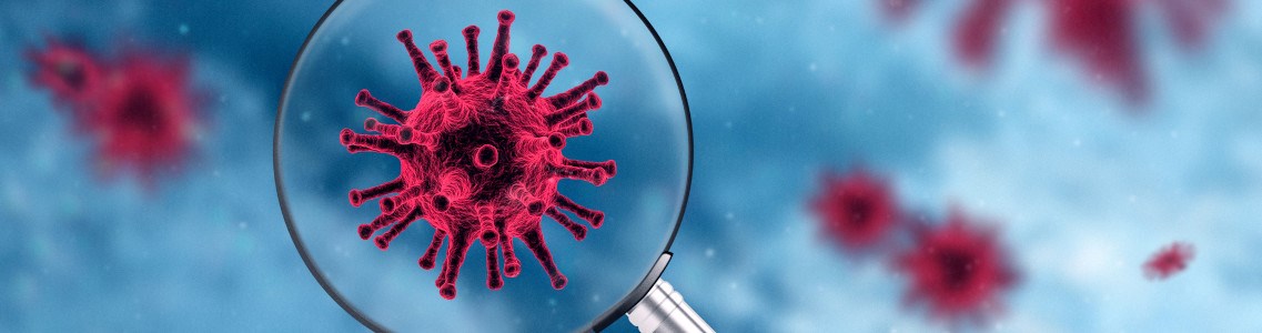 test na koronawirusa Warszawa