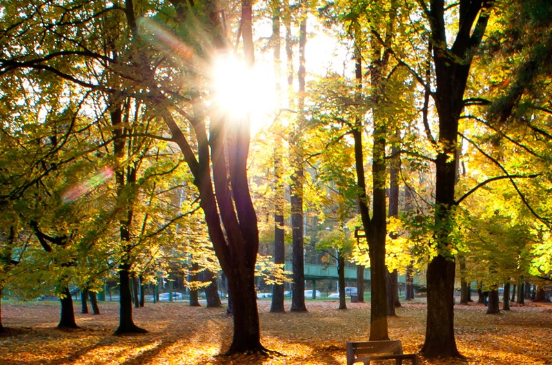 Godziny otwarcia placówek w&nbsp;dniach 9-11 listopada