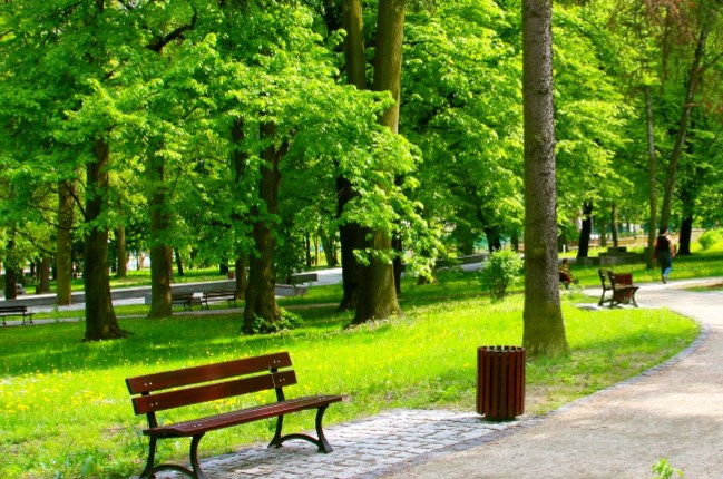 Godziny otwarcia od 18 do 21 czerwca