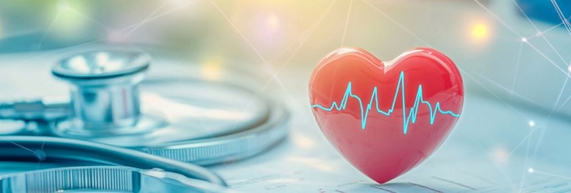 Objawy, przyczyny i&nbsp;leczenie chorób serca i&nbsp;układu krwionośnego